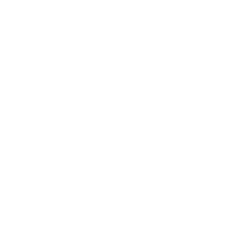 turvallisuus